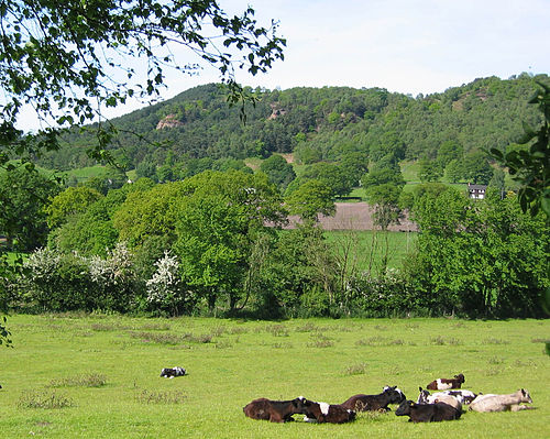 Bickerton, Cheshire